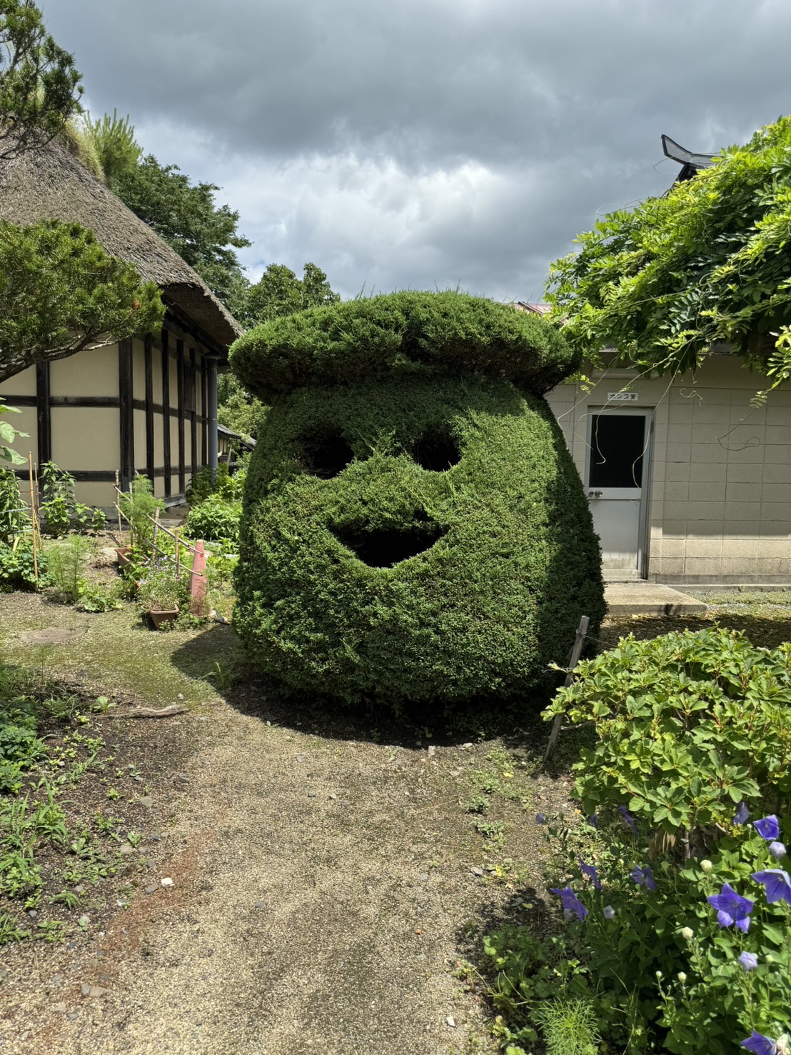 かっぱさん